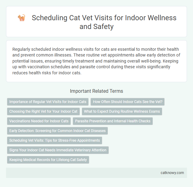Scheduling Cat Vet Visits for Indoor Wellness and Safety