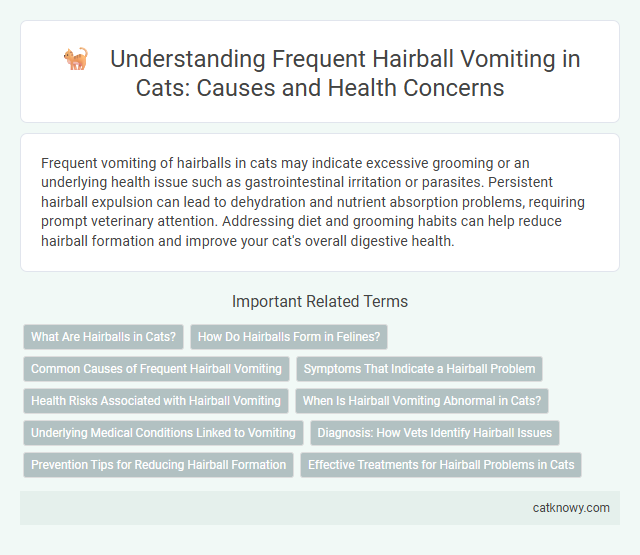 Understanding Frequent Hairball Vomiting in Cats: Causes and Health Concerns
