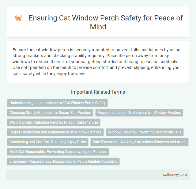 Ensuring Cat Window Perch Safety for Peace of Mind
