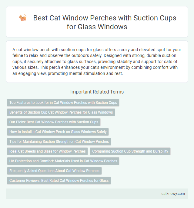 Best Cat Window Perches with Suction Cups for Glass Windows