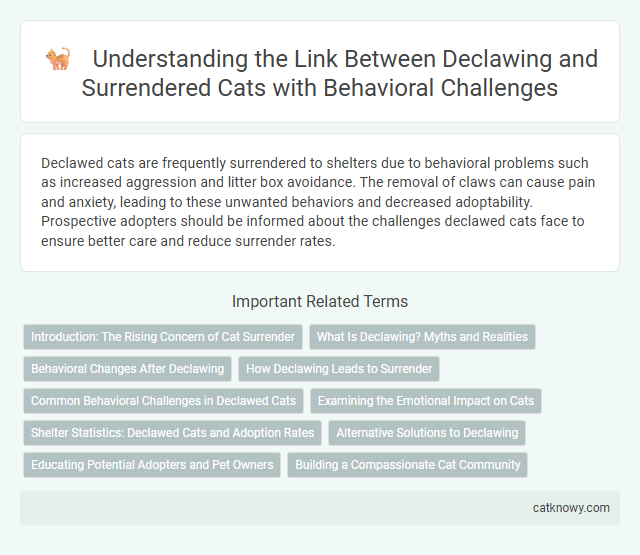 Understanding the Link Between Declawing and Surrendered Cats with Behavioral Challenges