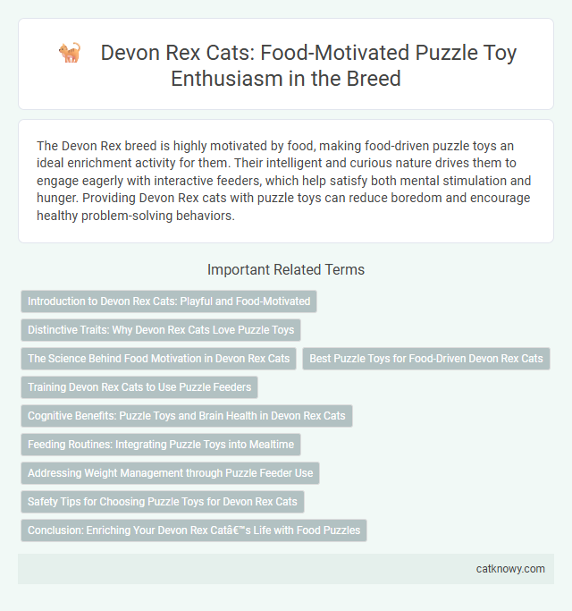 Devon Rex Cats: Food-Motivated Puzzle Toy Enthusiasm in the Breed