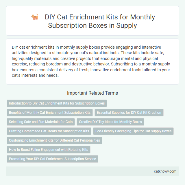 DIY Cat Enrichment Kits for Monthly Subscription Boxes in Supply