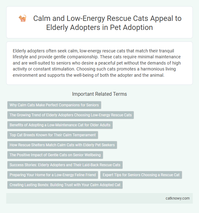 Calm and Low-Energy Rescue Cats Appeal to Elderly Adopters in Pet Adoption
