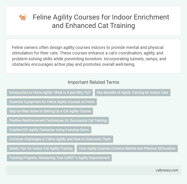 Feline Agility Courses for Indoor Enrichment and Enhanced Cat Training