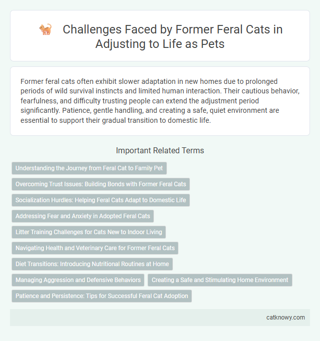 Challenges Faced by Former Feral Cats in Adjusting to Life as Pets