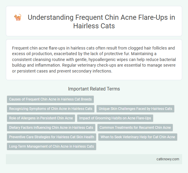 Understanding Frequent Chin Acne Flare-Ups in Hairless Cats