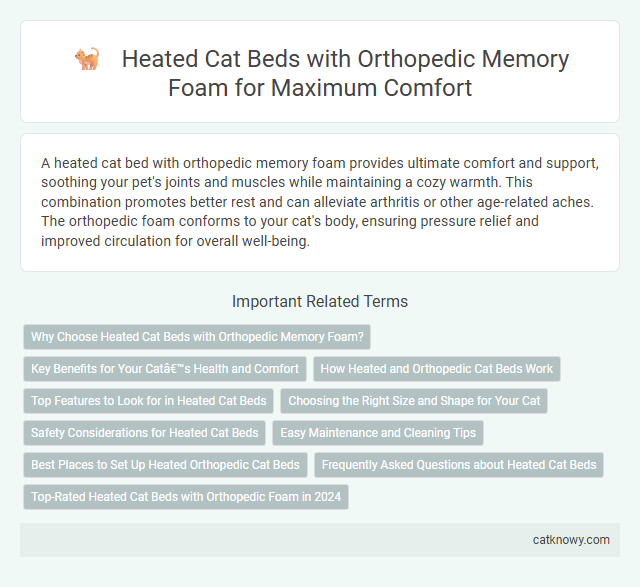 Heated Cat Beds with Orthopedic Memory Foam for Maximum Comfort