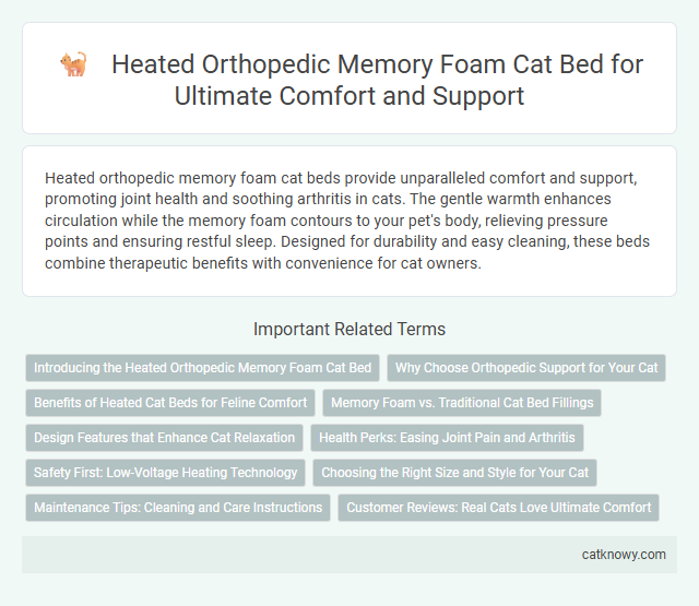 Heated Orthopedic Memory Foam Cat Bed for Ultimate Comfort and Support