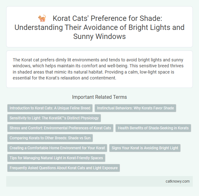 Korat Cats' Preference for Shade: Understanding Their Avoidance of Bright Lights and Sunny Windows