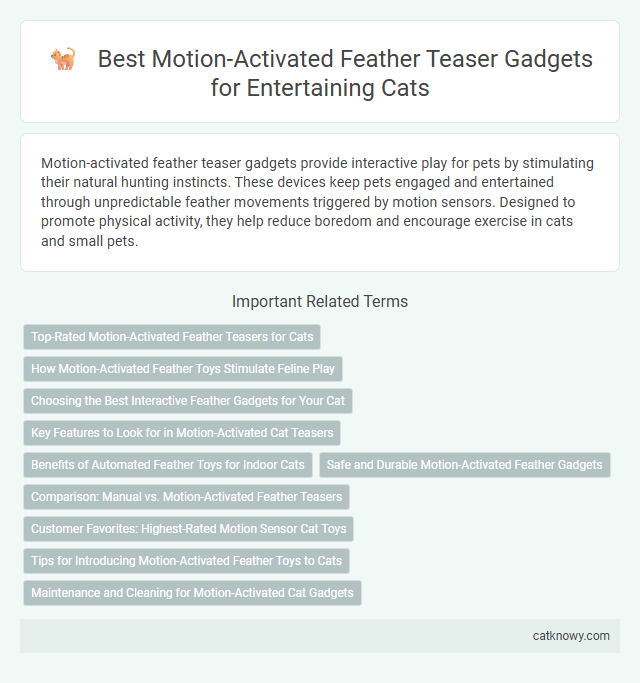 Best Motion-Activated Feather Teaser Gadgets for Entertaining Cats