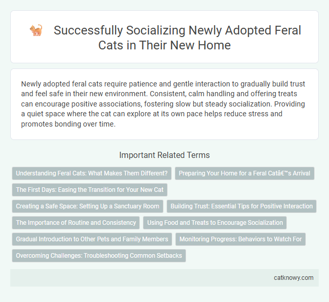 Successfully Socializing Newly Adopted Feral Cats in Their New Home