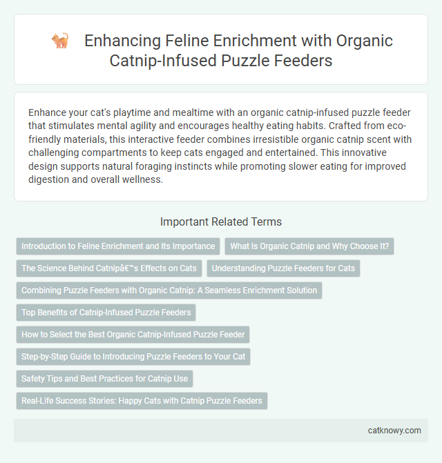 Enhancing Feline Enrichment with Organic Catnip-Infused Puzzle Feeders