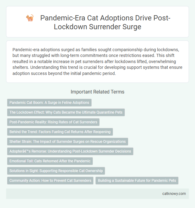 Pandemic-Era Cat Adoptions Drive Post-Lockdown Surrender Surge
