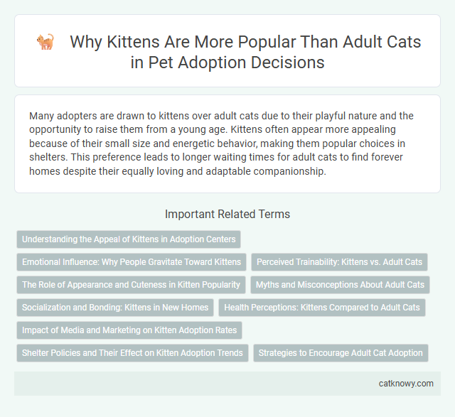 Why Kittens Are More Popular Than Adult Cats in Pet Adoption Decisions