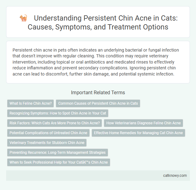 Understanding Persistent Chin Acne in Cats: Causes, Symptoms, and Treatment Options