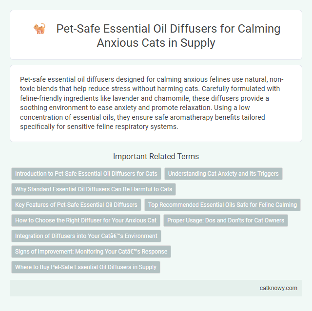 Pet-Safe Essential Oil Diffusers for Calming Anxious Cats in Supply
