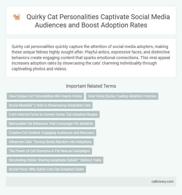 Quirky Cat Personalities Captivate Social Media Audiences and Boost Adoption Rates