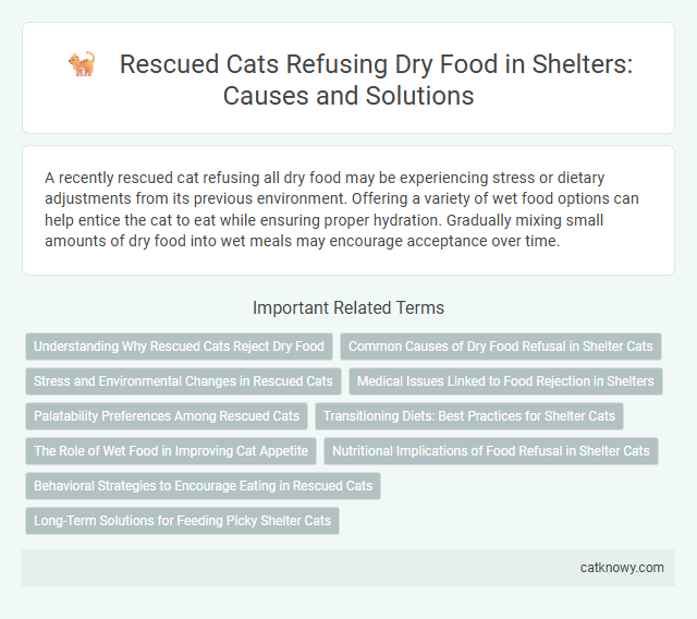Rescued Cats Refusing Dry Food in Shelters: Causes and Solutions