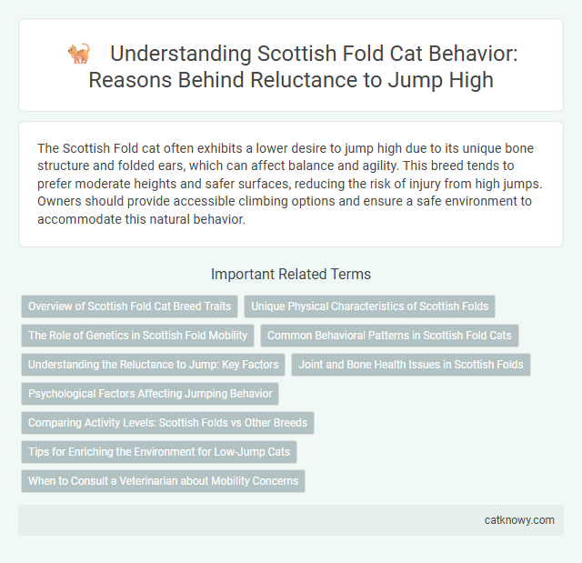 Understanding Scottish Fold Cat Behavior: Reasons Behind Reluctance to Jump High