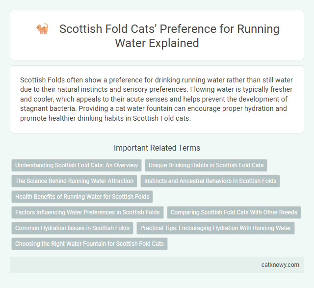 Scottish Fold Cats' Preference for Running Water Explained