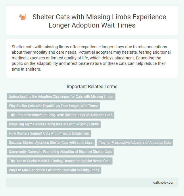 Shelter Cats with Missing Limbs Experience Longer Adoption Wait Times