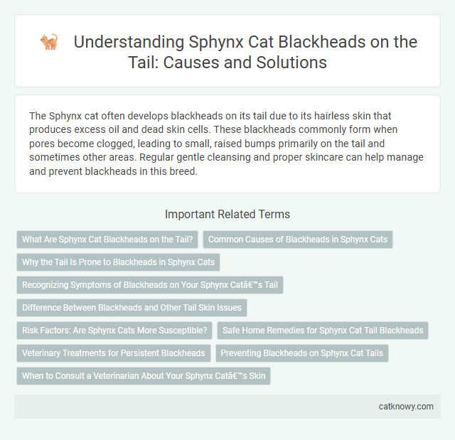 Understanding Sphynx Cat Blackheads on the Tail: Causes and Solutions