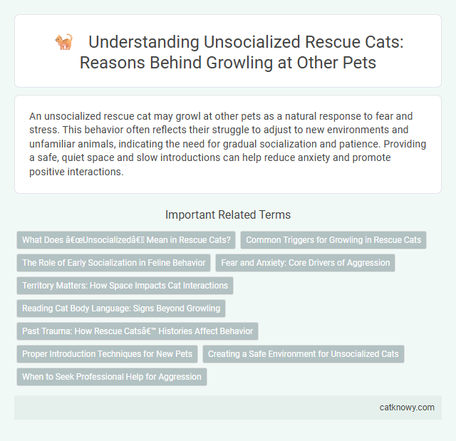 Understanding Unsocialized Rescue Cats: Reasons Behind Growling at Other Pets