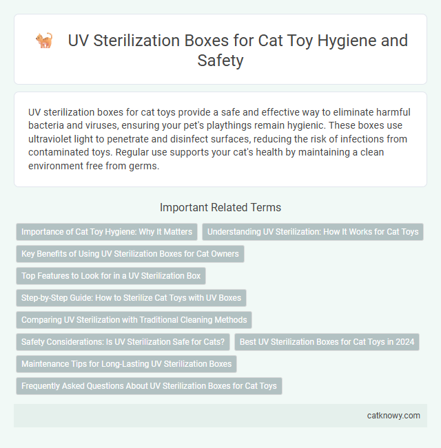 UV Sterilization Boxes for Cat Toy Hygiene and Safety