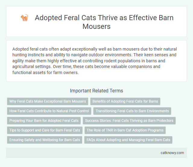 Adopted Feral Cats Thrive as Effective Barn Mousers