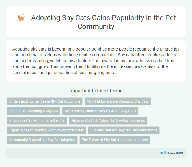 Adopting Shy Cats Gains Popularity in the Pet Community