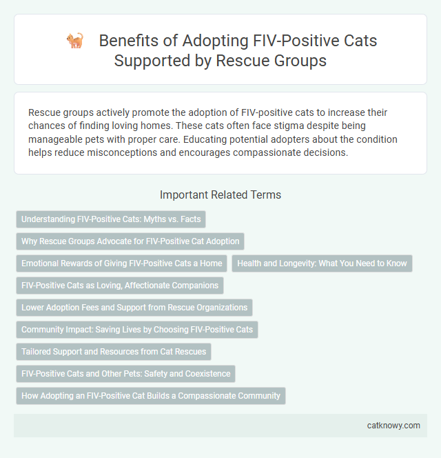 Benefits of Adopting FIV-Positive Cats Supported by Rescue Groups