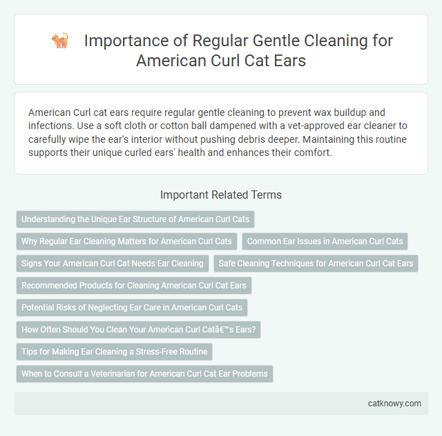 Importance of Regular Gentle Cleaning for American Curl Cat Ears
