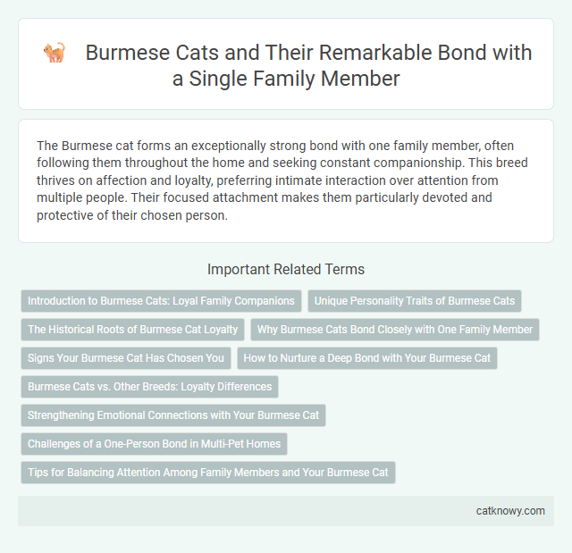 Burmese Cats and Their Remarkable Bond with a Single Family Member