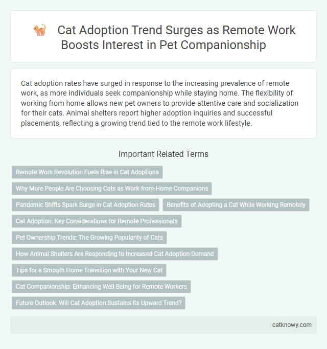 Cat Adoption Trend Surges as Remote Work Boosts Interest in Pet Companionship