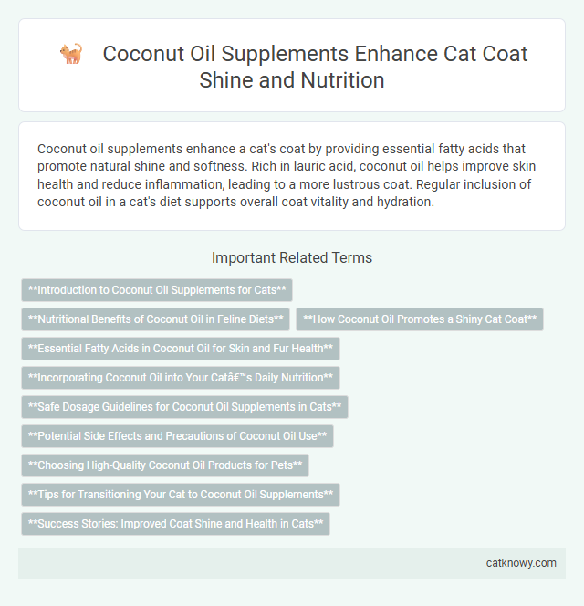 Coconut Oil Supplements Enhance Cat Coat Shine and Nutrition