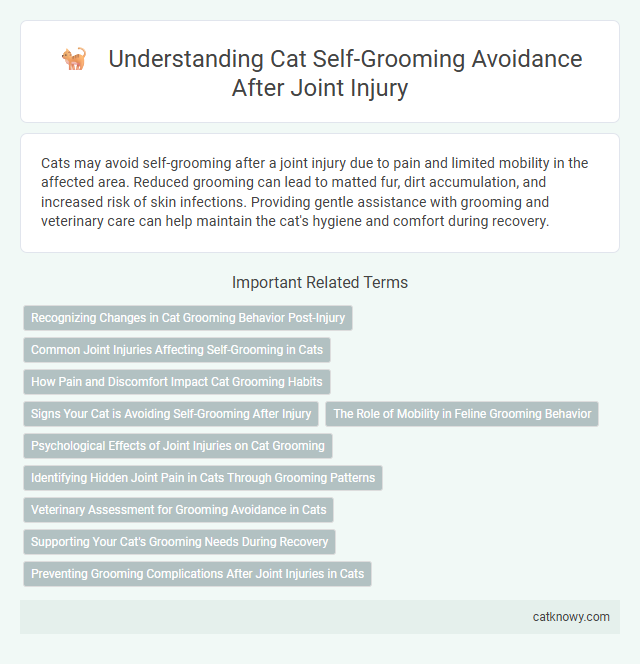 Understanding Cat Self-Grooming Avoidance After Joint Injury