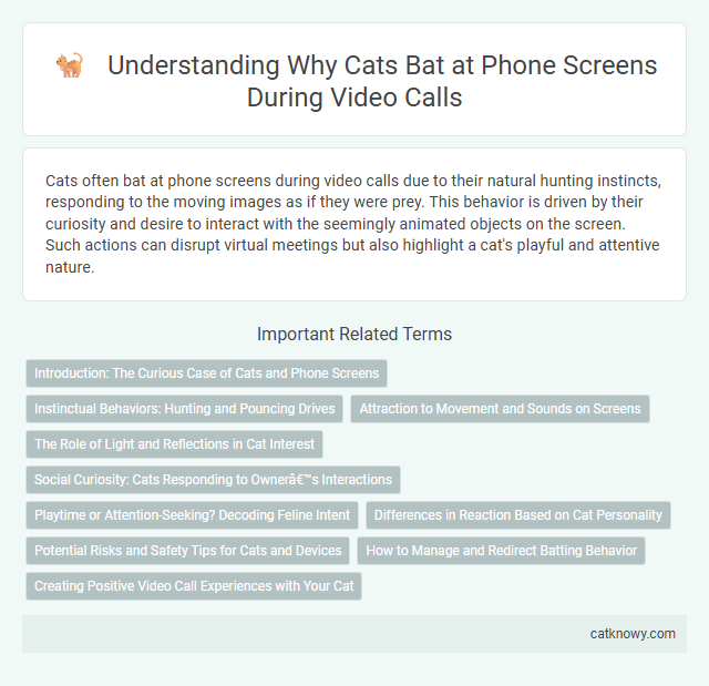 Understanding Why Cats Bat at Phone Screens During Video Calls