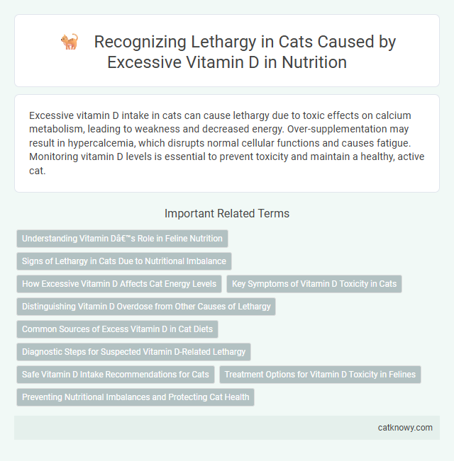 Recognizing Lethargy in Cats Caused by Excessive Vitamin D in Nutrition