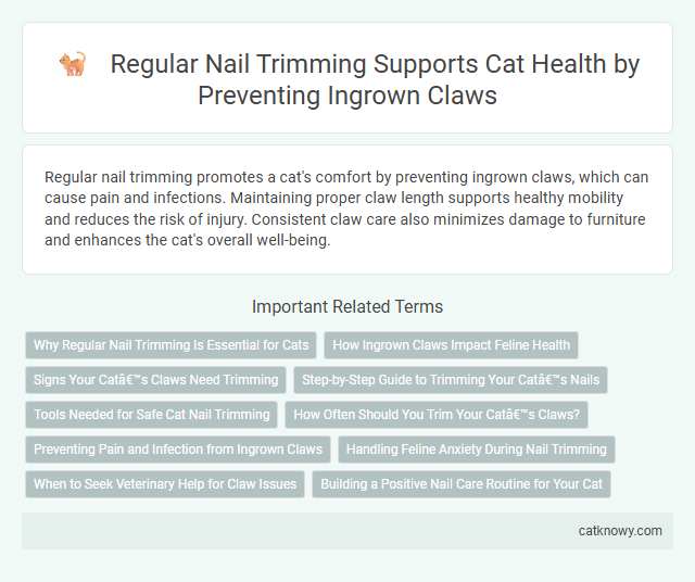Regular Nail Trimming Supports Cat Health by Preventing Ingrown Claws