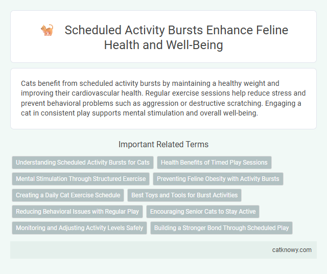Scheduled Activity Bursts Enhance Feline Health and Well-Being