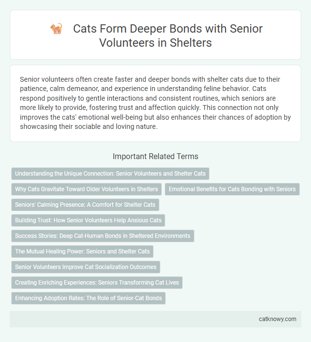 Cats Form Deeper Bonds with Senior Volunteers in Shelters