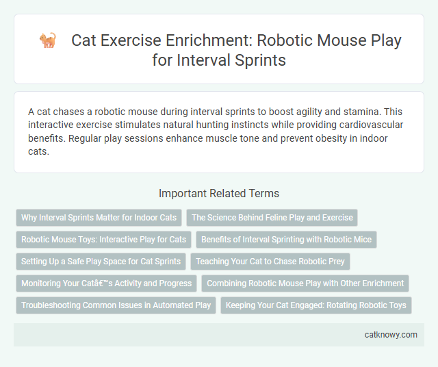 Cat Exercise Enrichment: Robotic Mouse Play for Interval Sprints