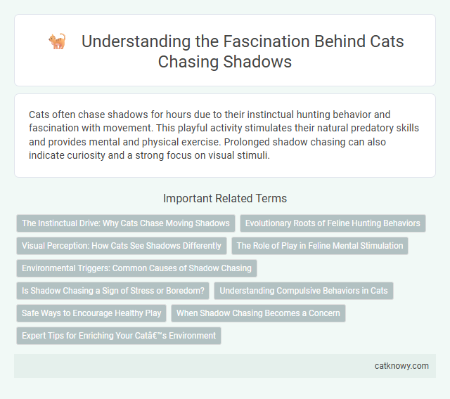 Understanding the Fascination Behind Cats Chasing Shadows