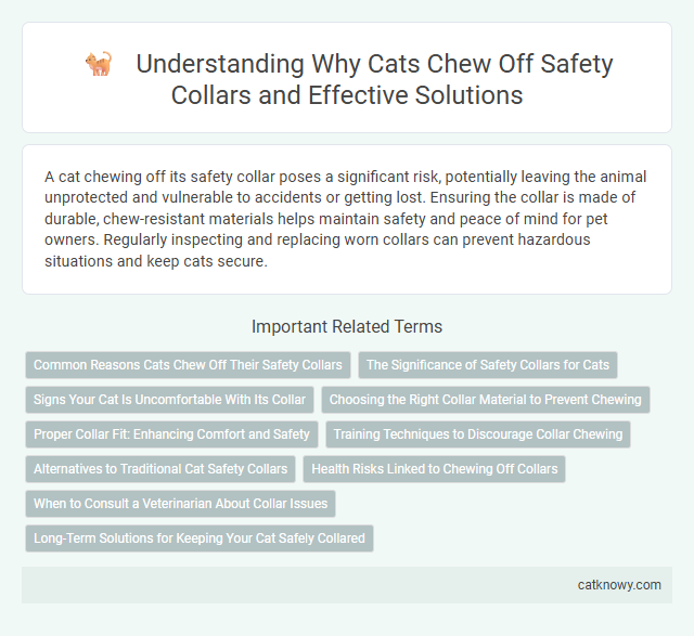 Understanding Why Cats Chew Off Safety Collars and Effective Solutions