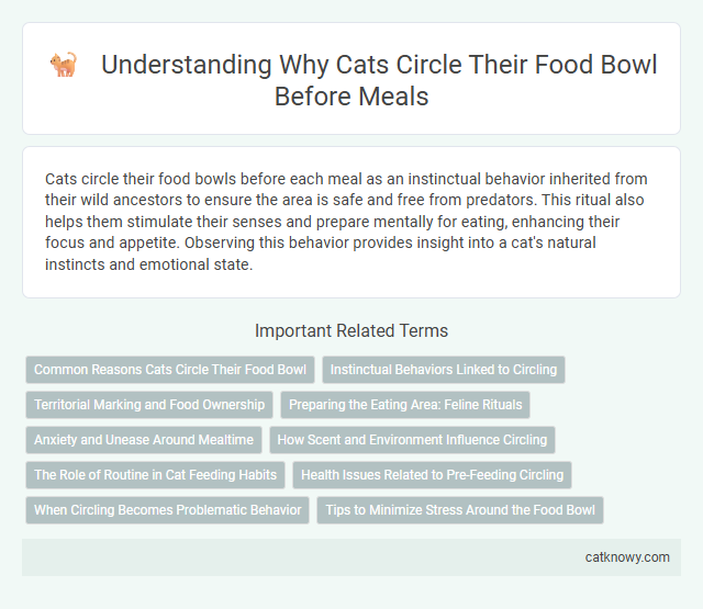 Understanding Why Cats Circle Their Food Bowl Before Meals