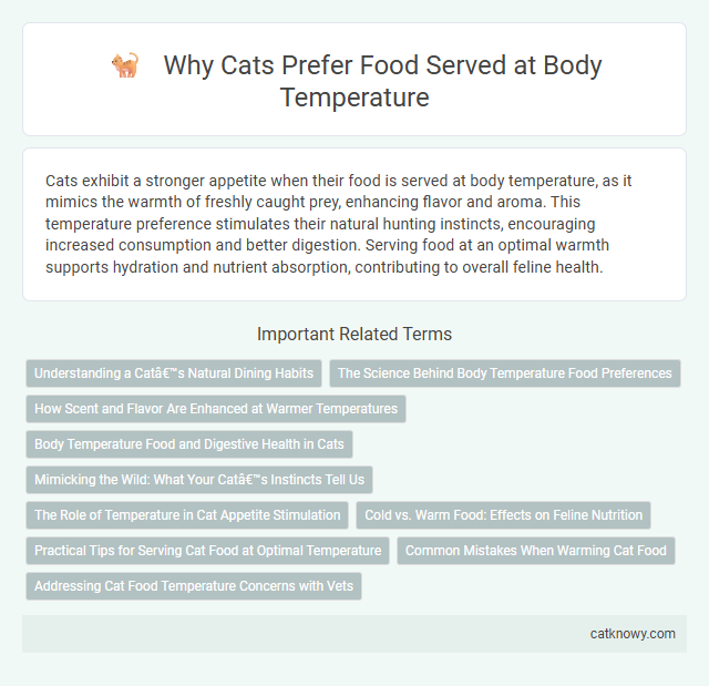Why Cats Prefer Food Served at Body Temperature