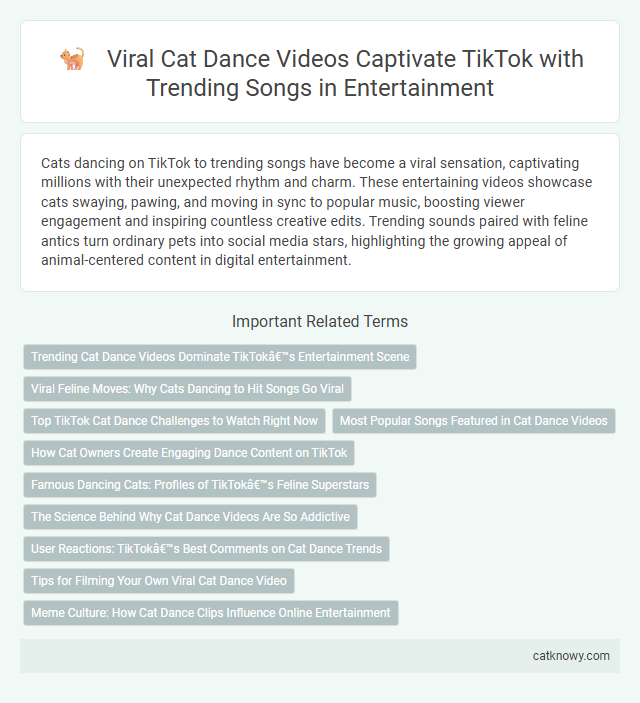 Viral Cat Dance Videos Captivate TikTok with Trending Songs in Entertainment