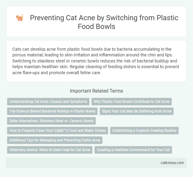 Preventing Cat Acne by Switching from Plastic Food Bowls