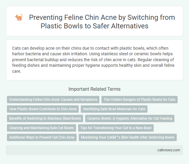 Preventing Feline Chin Acne by Switching from Plastic Bowls to Safer Alternatives